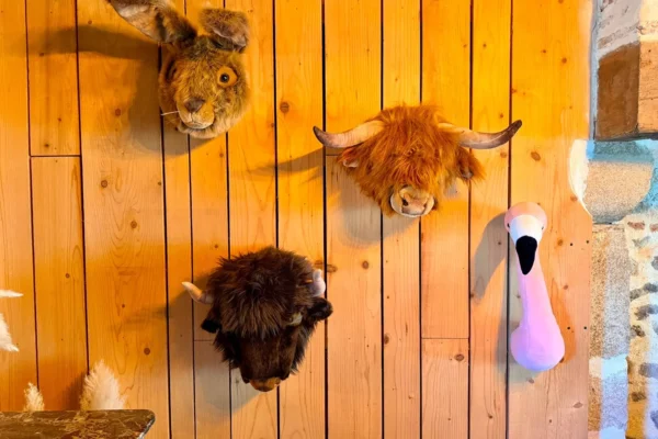 ferme-des-clautres-creuse-hebergement-insolite-decoration-tetes-peluche-animaux